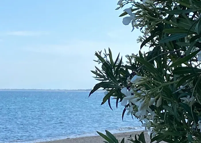 דירה Sarra Halkidiki Kalyves Polygyrou